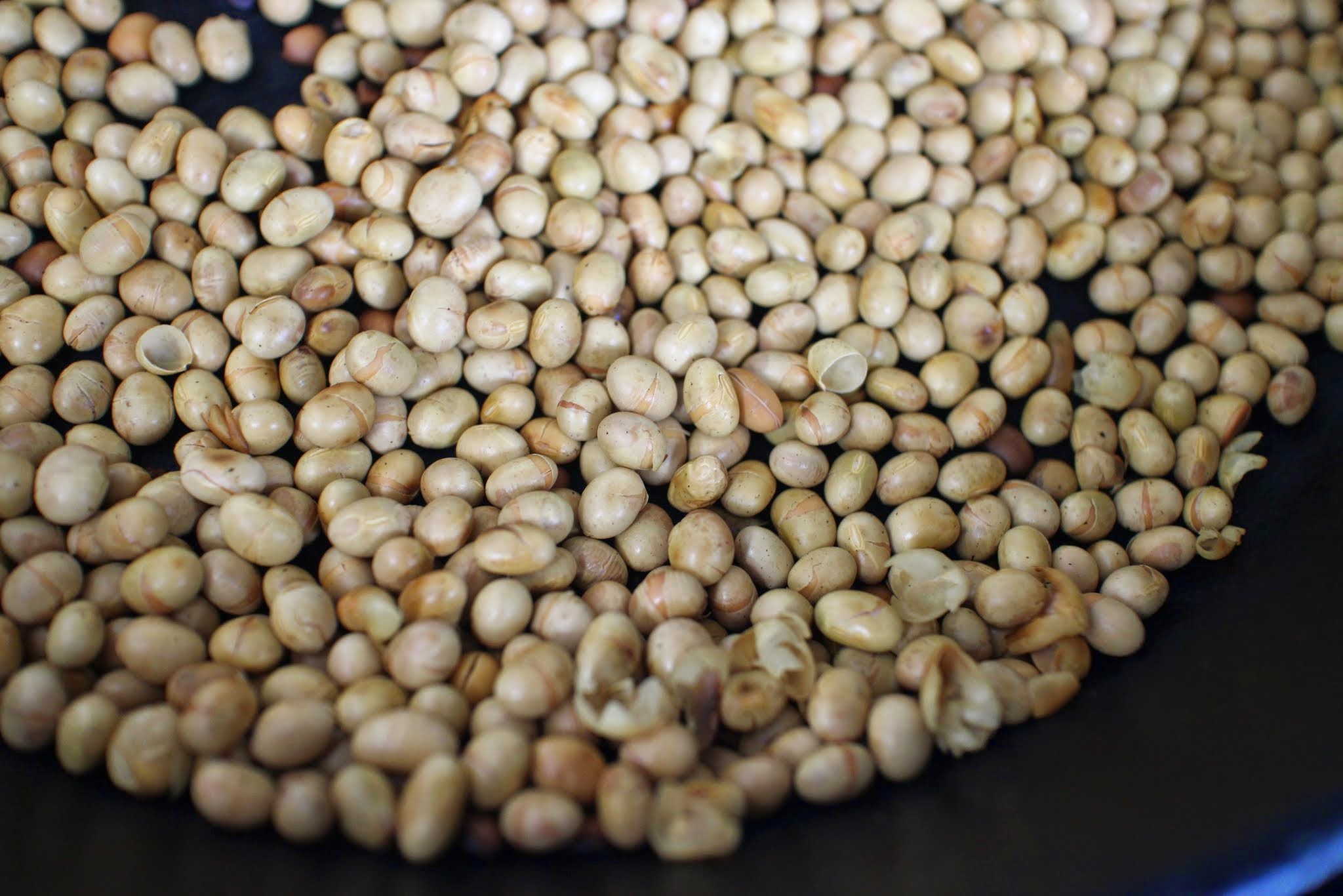 Kinako, Roasted Soy Bean Powder Essence of Japan